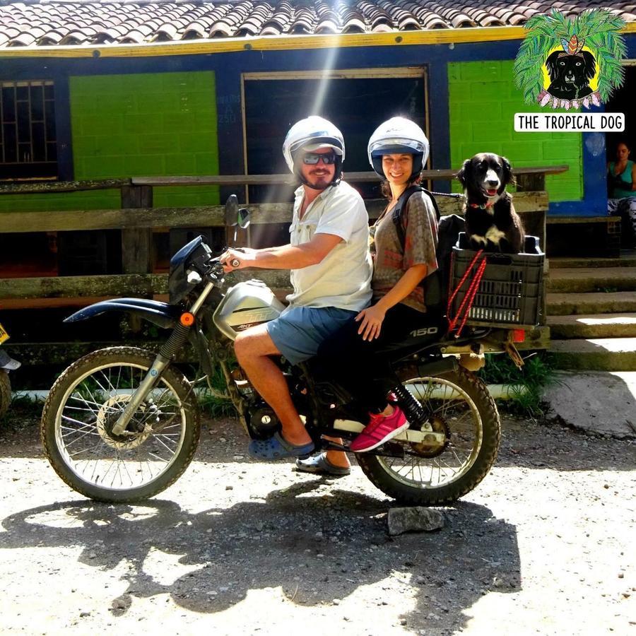 Casa Finca Tipica The Lake Hotel Guatape Ngoại thất bức ảnh
